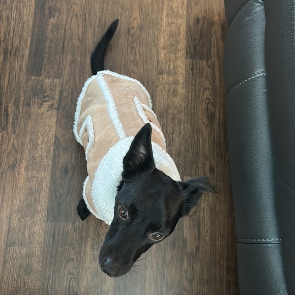 Dog coat Faux Sherpa M - Picture 5 of 10